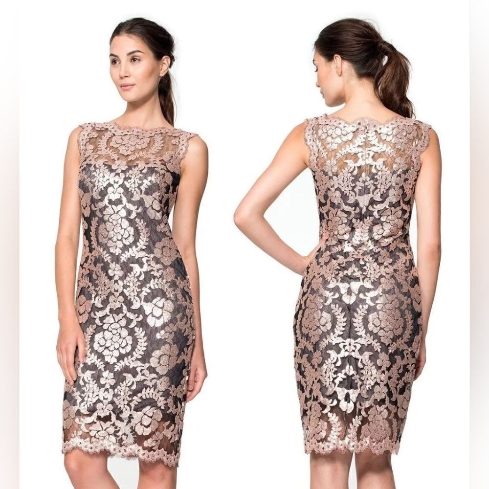 Tadashi Shoji Antique Pink Illusion Sequin Paillette Embroidered Lace Dress